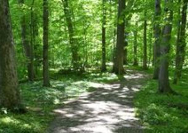 Cincinnati Nature Center