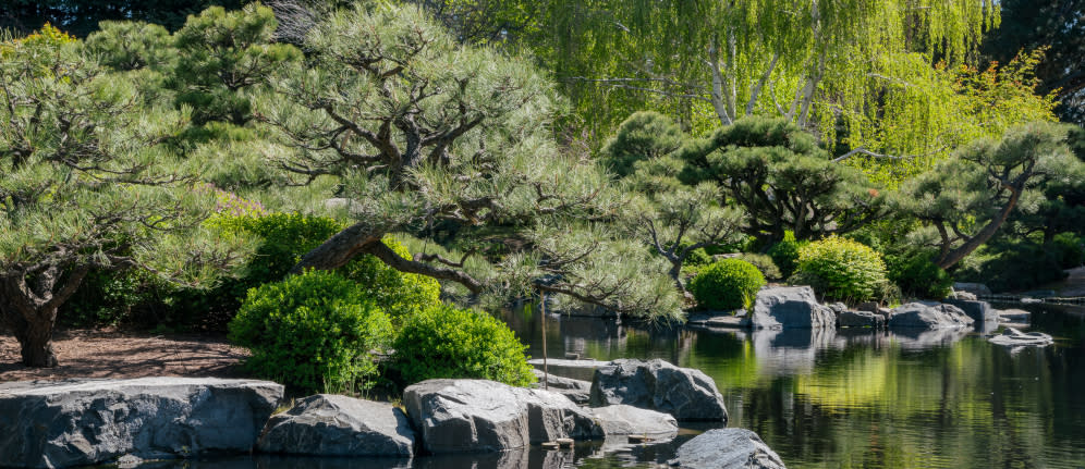 Trees and Water at the Denver Botanic Gardens
