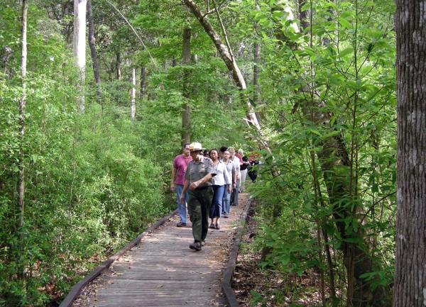 Big Thicket National Preserve Ranger Hike