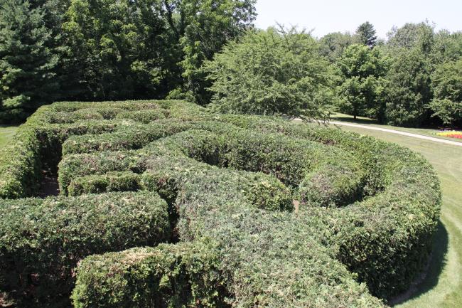 klehm arboretum hedge maze