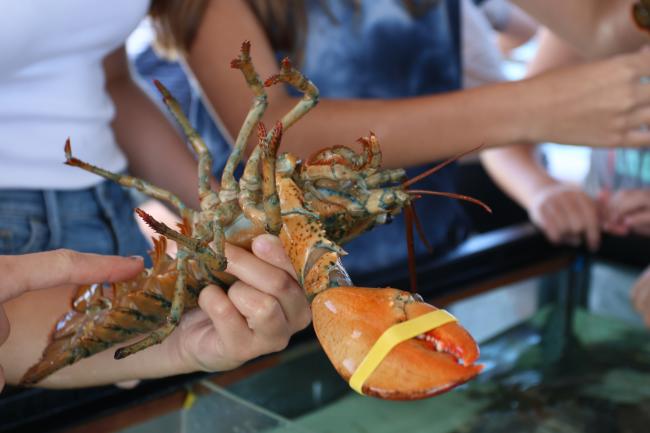 fish'n tales lobster tour