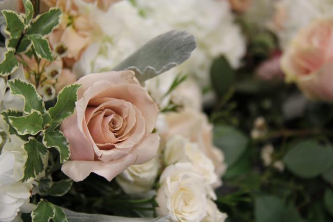 Rose from Event Floral