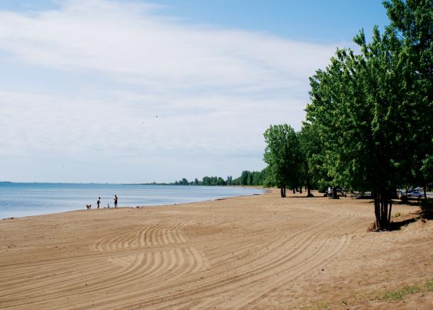 Turkey Point