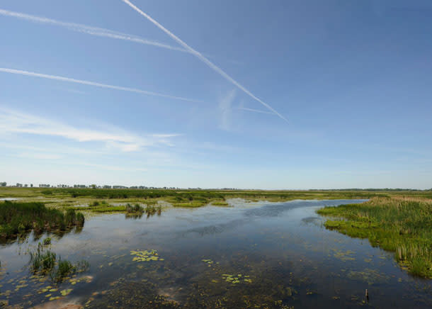 Blog - Canadian Amazon Paddling