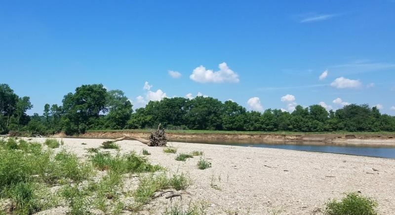 This rocky shoal provides direct access to the White River for rock skipping or picnics at Waverly Park.