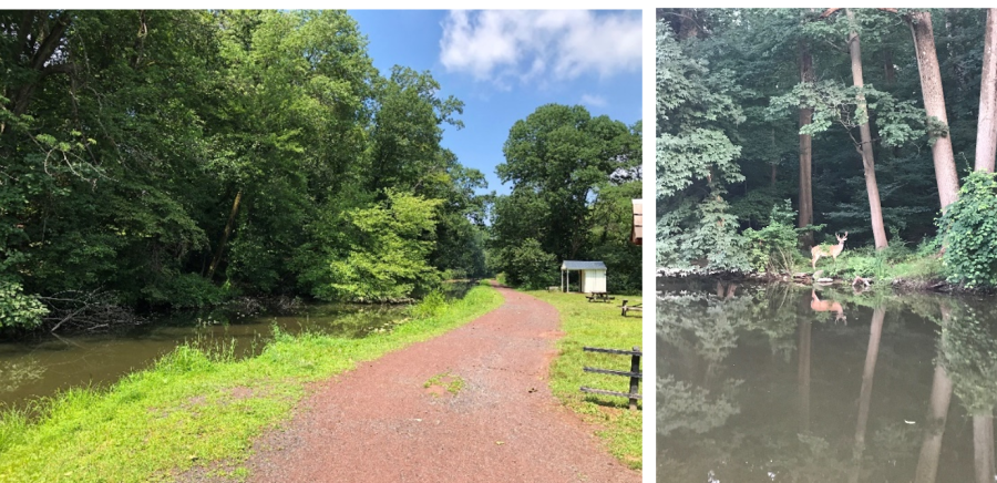 Towpath