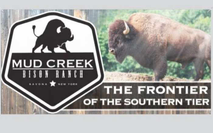 Mud Creek Bison Ranch logo