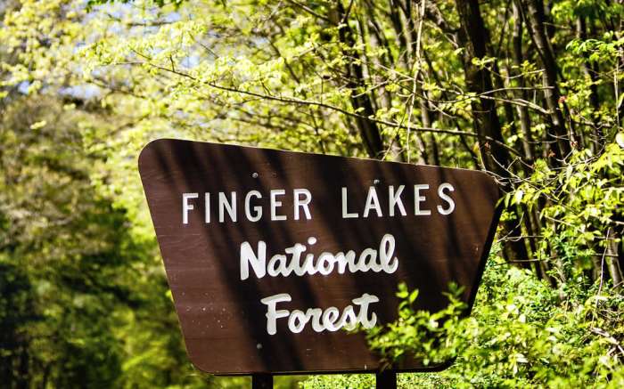 Finger Lakes National Forest