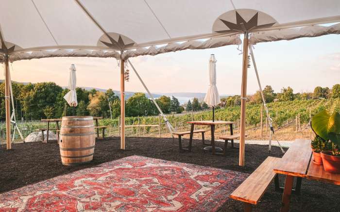 Living Roots Wine & Company