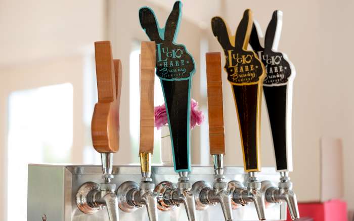 Lucky Hare tap line