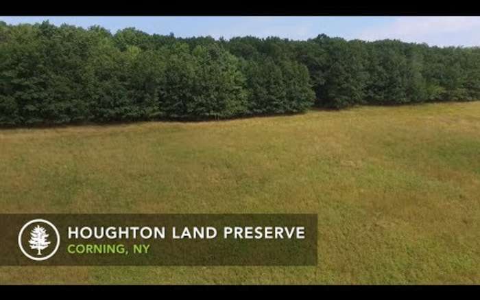 Houghton Land Preserve