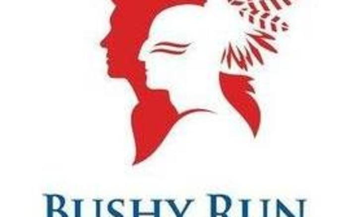 Bushy Run 2022