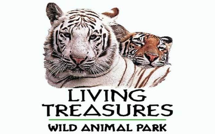 20% Off Weekday Admission or 10% Off Weekend Admission