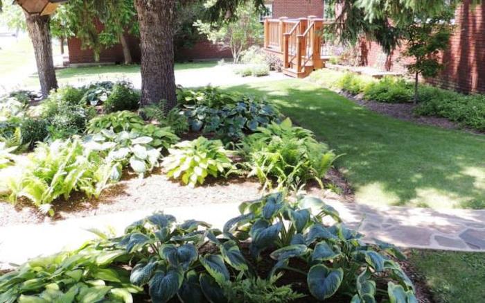 Fernwalk's Spruce trees, hostas and ferns grace the front of the property