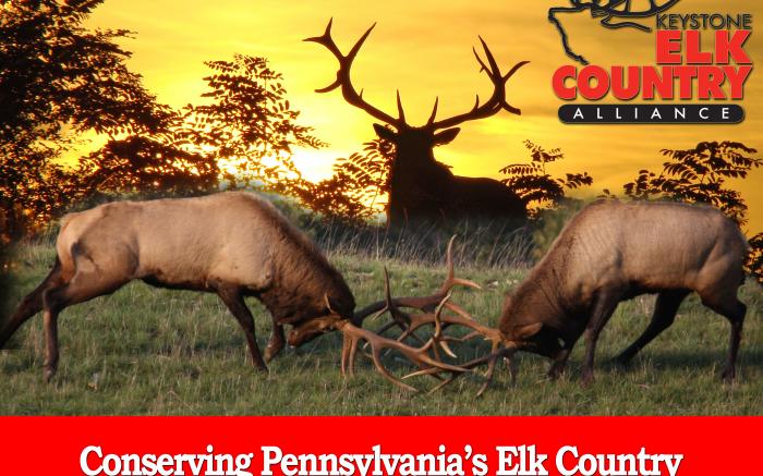 Westmoreland County Chapter - Keystone Elk Country Alliance