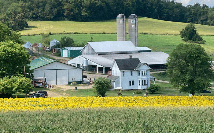 Maple Bottom Farm