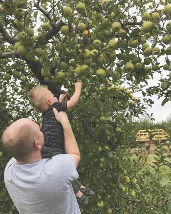 Beasley's u-pick apples