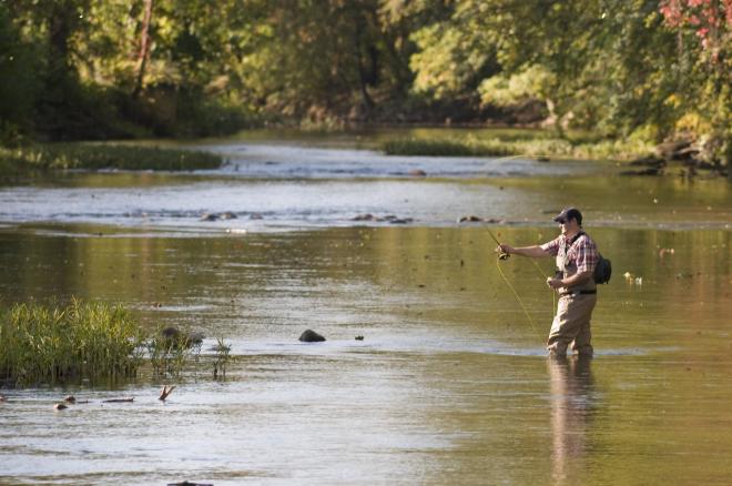 Fly Fishing - Roanoke River