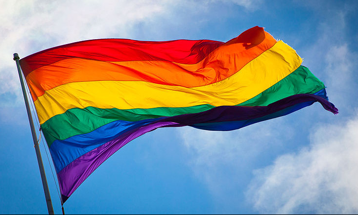 Ypsi Pride Flag