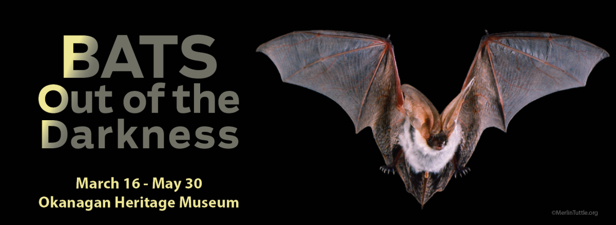 Bats out of the Darkness - Poster