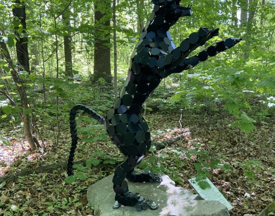 Woodland Creatures: Andy the Panther