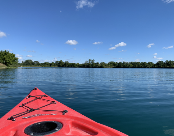 FIDLER POND PARK