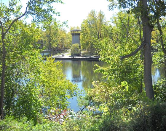High Dive Park