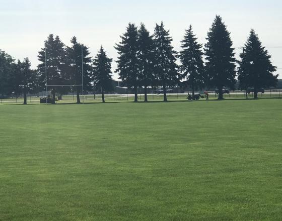 MOOSE RUGBY GROUNDS