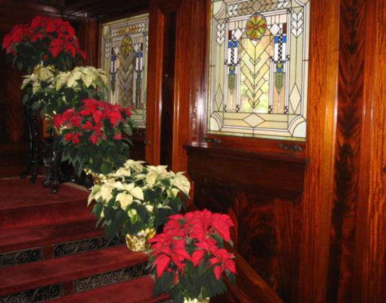 Ruthmere Museum