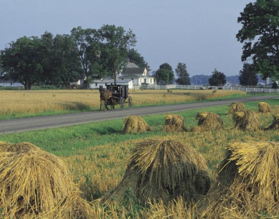 Visitors Love Country Road Experiences Along the Heritage Trail