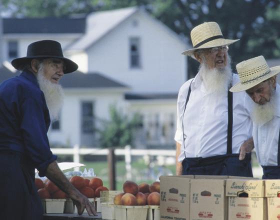 Visitors Love Country Road Experiences Along the Heritage Trail