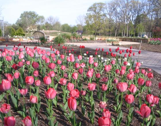 Wellfield Botanic Gardens