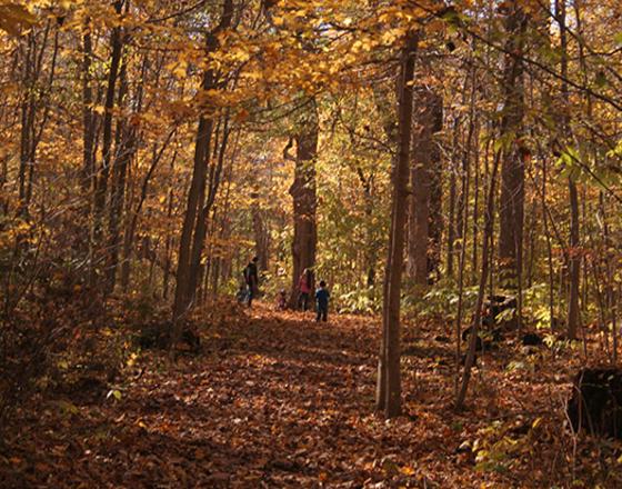 Ox Bow County Park