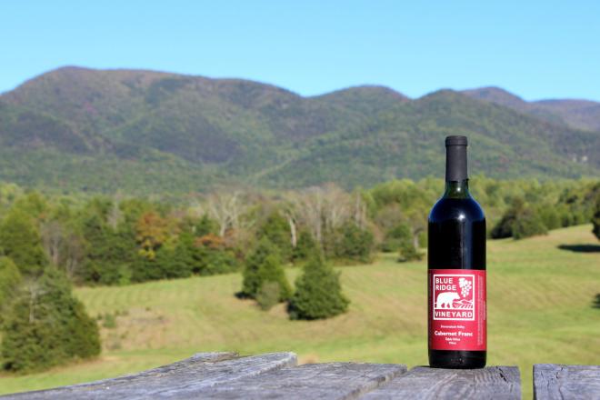 Blue Ridge Vineyard - Botetourt County, VA