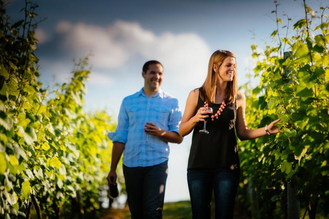 Botetourt Virginia Vineyard