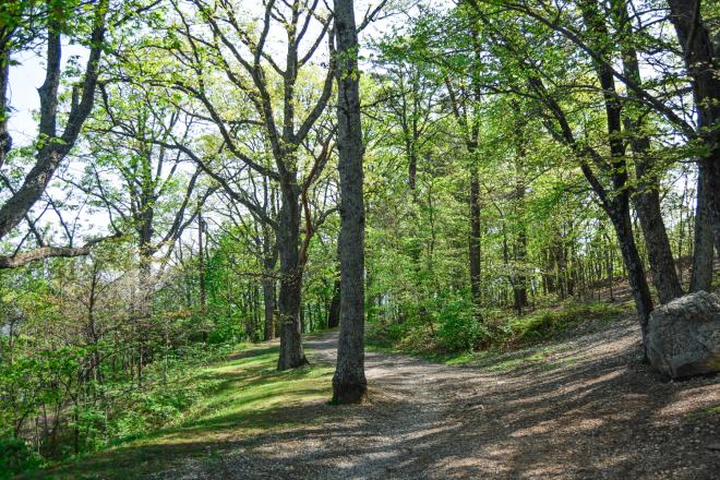 Mill Mountain Trail - Roanoke