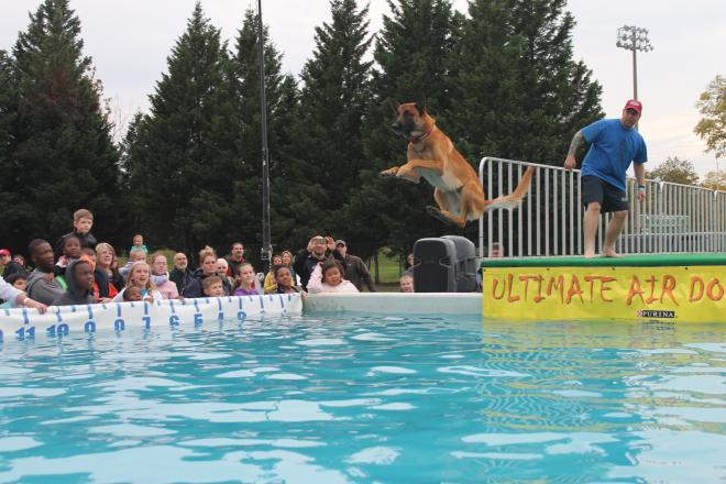 Roanoke Go Outside Festival - Dog Dock Jumping