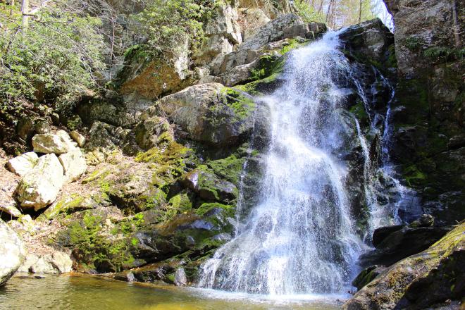 Stiles Falls - Virginia