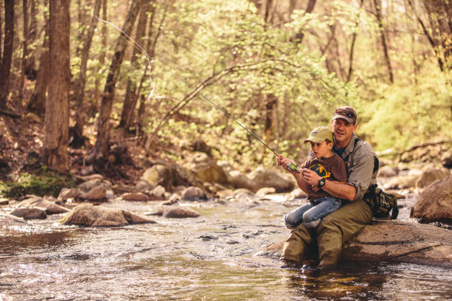 Virginia Creek Fishing