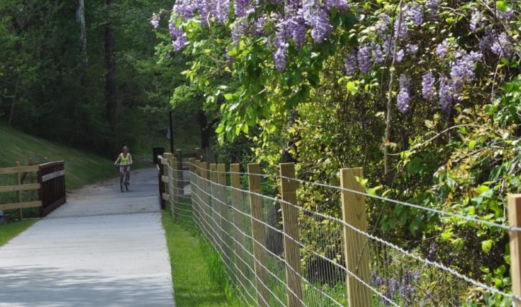 Buffalo Creek Greenway, a 3-mile trail along the Mountains to the Sea Trail, Smithfield, NC.