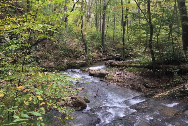 Roaring Run Creek