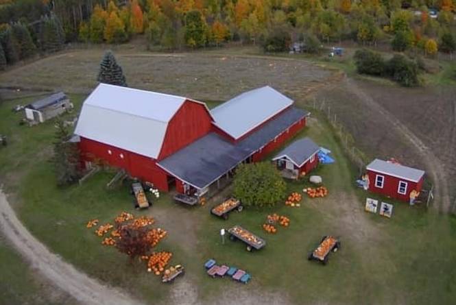 Clark's Family Farm