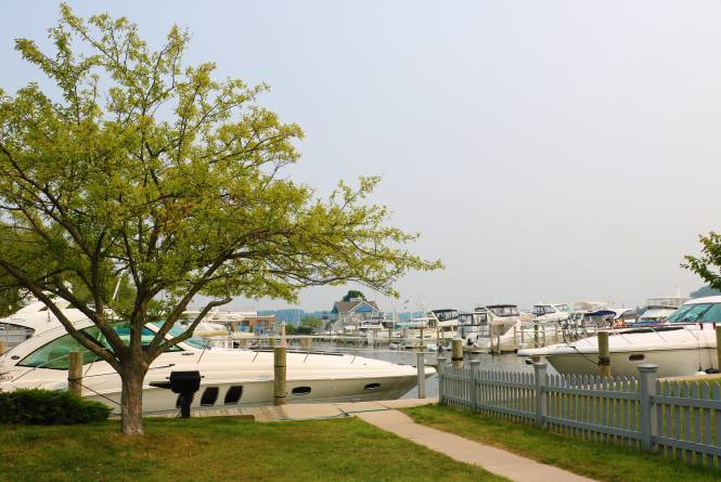 Jacobson Marina Resort