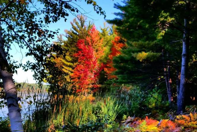 Lake N Pines Fab Fall Color Getaway
