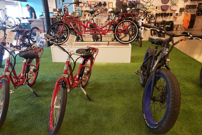 Pedego Electric Bikes Traverse City