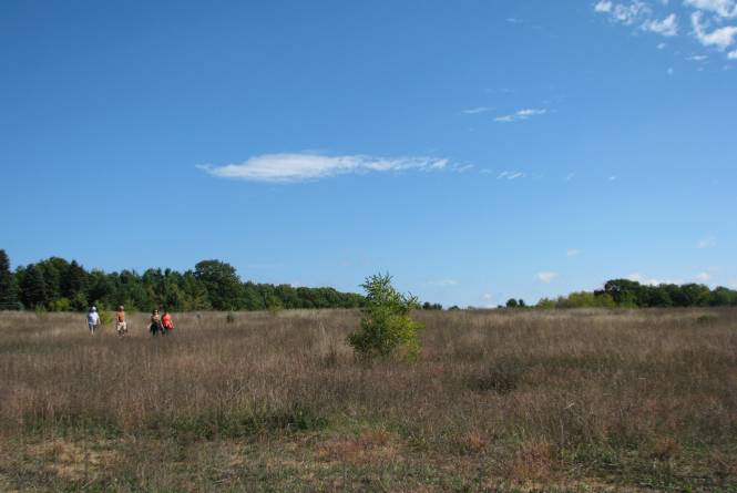 Pelizzari Natural Area