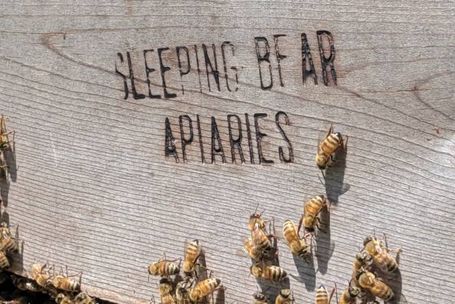 Sleeping Bear Farm