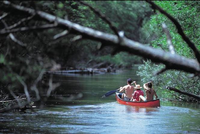 Tipsy Canoe