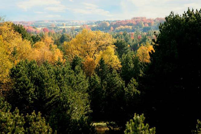 Grand Traverse Regional Land Conservancy