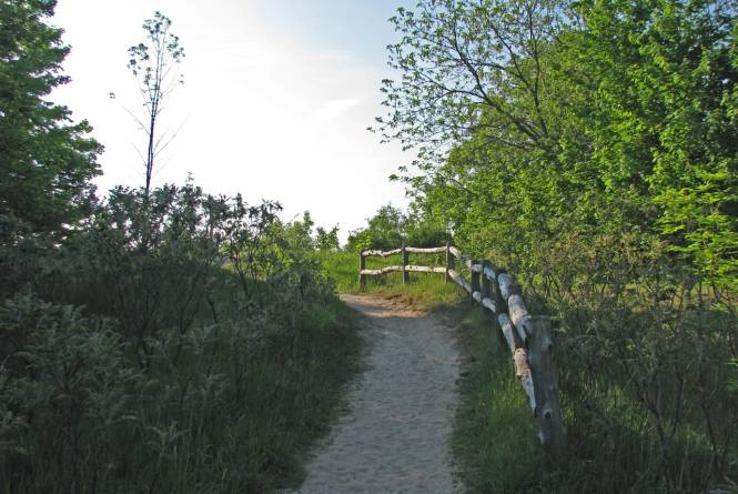 Trails